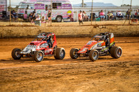 wingless 6 t6 chris breen-3