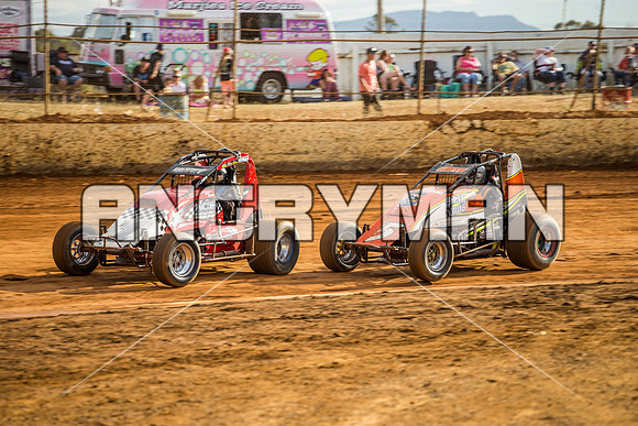 wingless 6 t6 chris breen-3