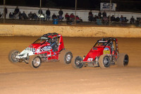 wingless 6 t6 chris breen-7
