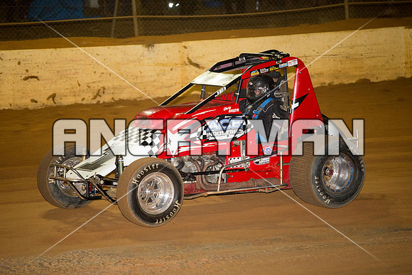 wingless 6 t6 chris breen-9