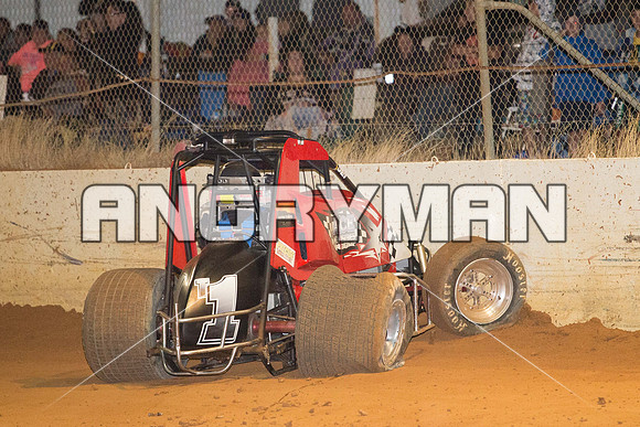 wingless 6 t6 chris breen-10