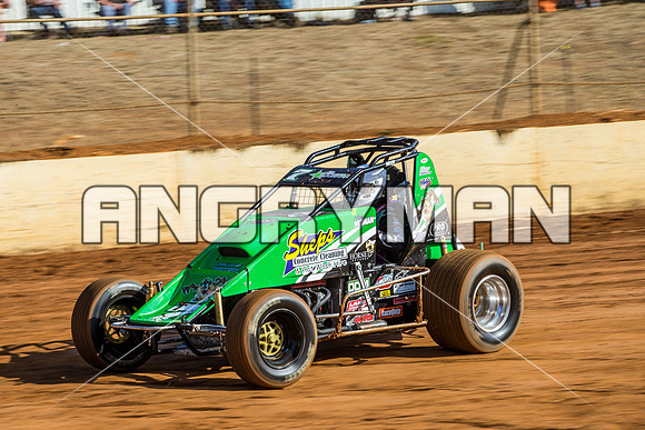 wingless 7 t7 Daniel Storer-2