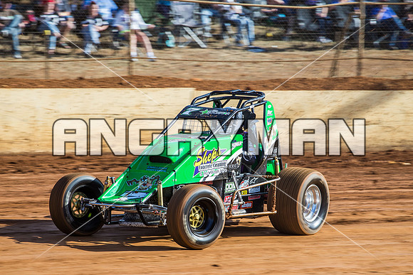 wingless 7 t7 Daniel Storer
