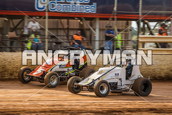 wingless 8 q8 Scott Thomsen-3