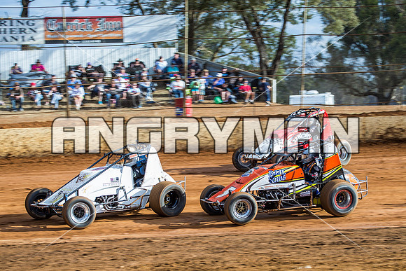 wingless 8 q8 Scott Thomsen-2