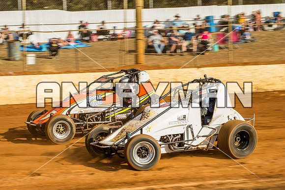 wingless 8 q8 Scott Thomsen-5