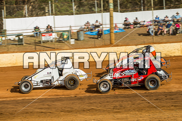 wingless 8 q8 Scott Thomsen-4