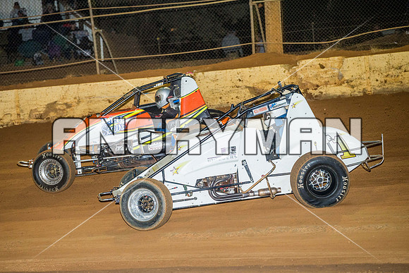 wingless 8 q8 Scott Thomsen-10