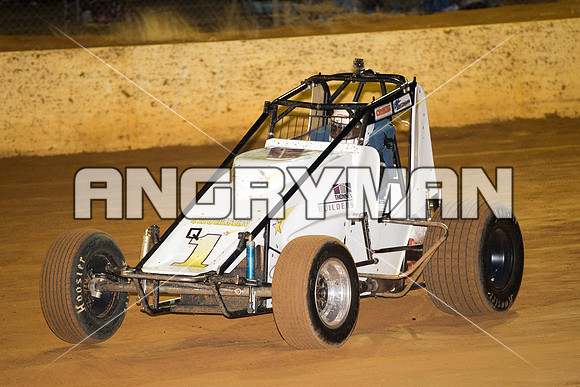 wingless 8 q8 Scott Thomsen-13
