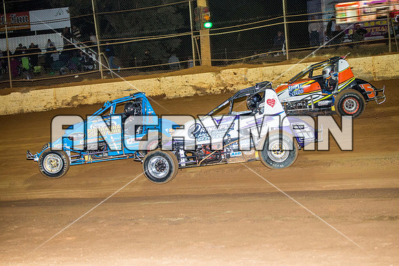 wingless 15 t15 brad herbert-7