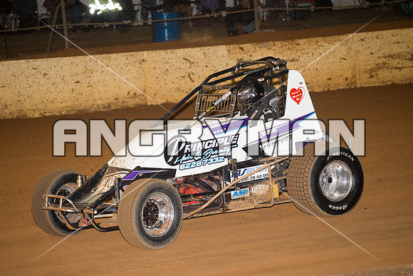 wingless 15 t15 brad herbert-8