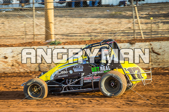 wingless 17 t17 hadyn mcbain-3