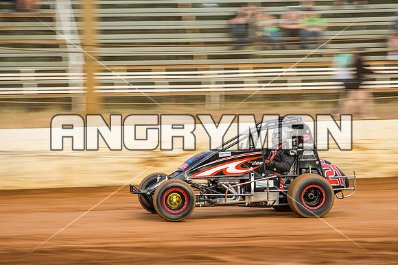 wingless 21 t21 joe turnbull