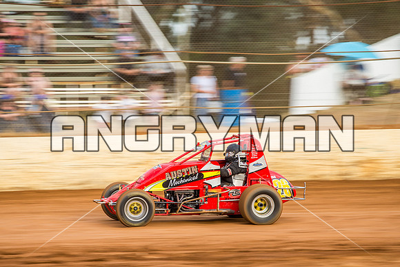 wingless 26 t26 Matt farrell-5