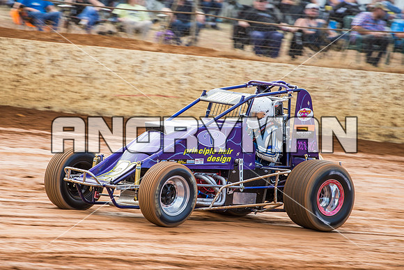 wingless 28 t28 tim herbert-2