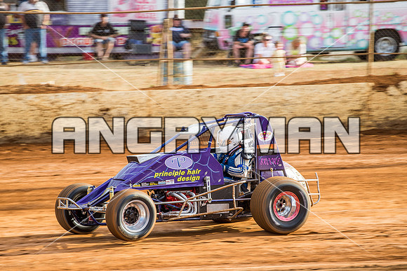 wingless 28 t28 tim herbert-4