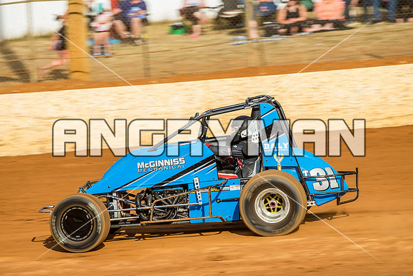 wingless 31 t31 peter griffiths