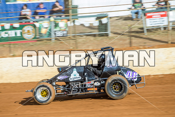 wingless 46 t46-2