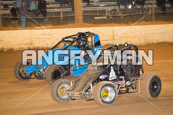 wingless 46 t46-6