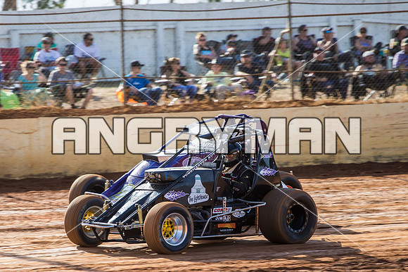 wingless 46 t46