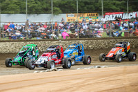 wingless 6 t6 chris breen-2