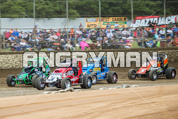 wingless 6 t6 chris breen-2