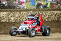 wingless 6 t6 chris breen-3
