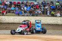 wingless 6 t6 chris breen-4
