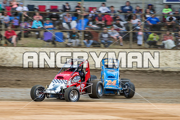 wingless 6 t6 chris breen-4