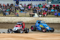 wingless 6 t6 chris breen-5