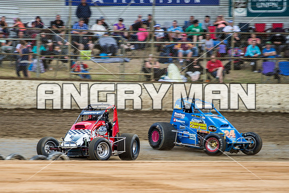 wingless 6 t6 chris breen-5