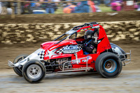 wingless 6 t6 chris breen-6