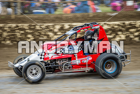 wingless 6 t6 chris breen-6