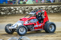 wingless 6 t6 chris breen-7