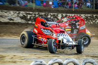 wingless 6 t6 chris breen-8