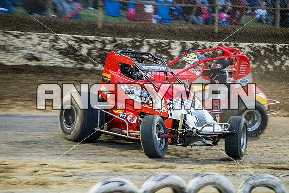 wingless 6 t6 chris breen-8