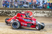 wingless 6 t6 chris breen-9