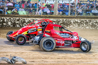 wingless 6 t6 chris breen-10
