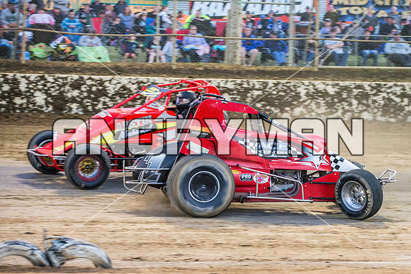 wingless 6 t6 chris breen-10