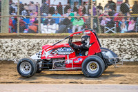 wingless 6 t6 chris breen-12
