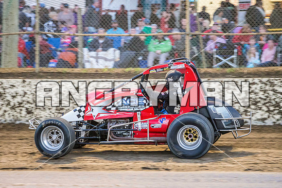 wingless 6 t6 chris breen-12