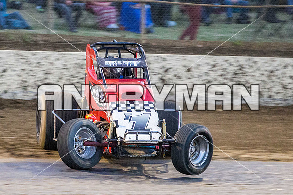 wingless 6 t6 chris breen-13