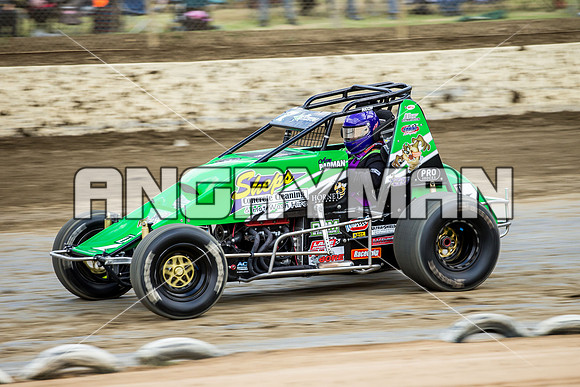 wingless 7 t7-2