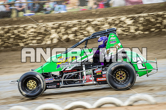 wingless 7 t7-3