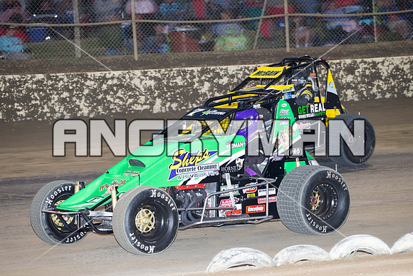 wingless 7 t7-4