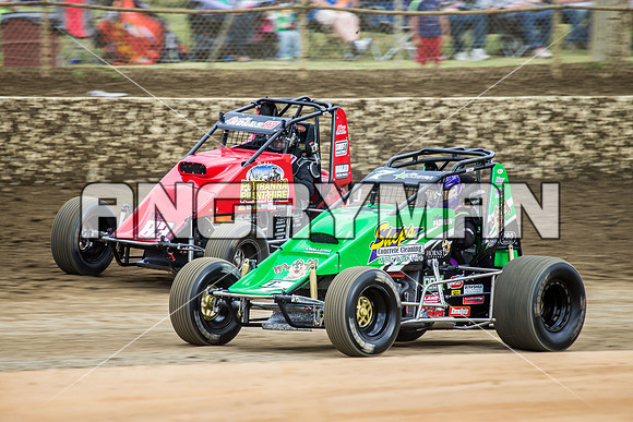 wingless 7 t7