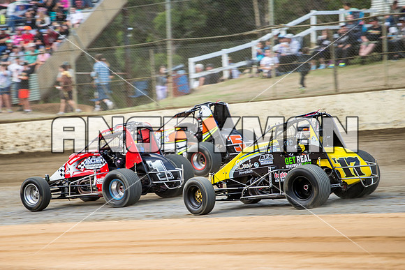 wingless 17 t17 hadyn mcbain-3