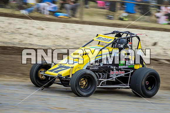 wingless 17 t17 hadyn mcbain-4
