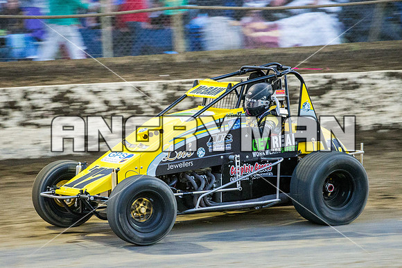wingless 17 t17 hadyn mcbain-5