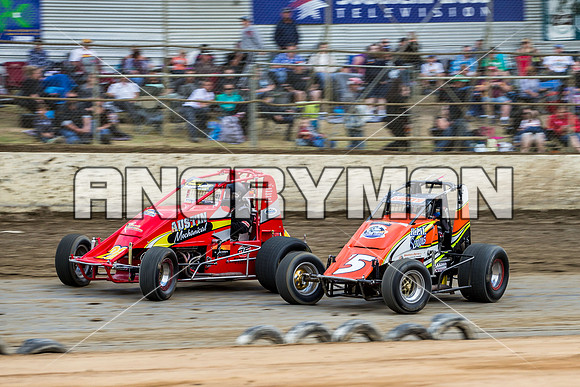 wingless 26 t26-3